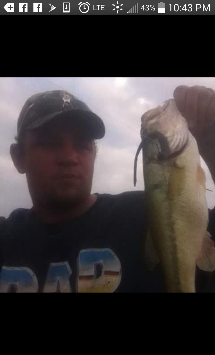download big worms for big bass download big worms for big bass