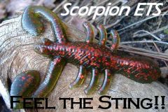 Scorpion ETS is coming soon!!!