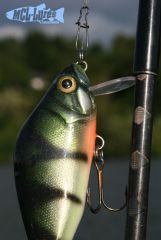 European Perch Crankbait