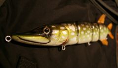 esox_no3.jpg