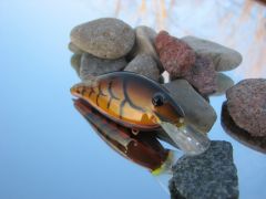 Copper Craw