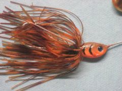 close up of dbl colorado craw