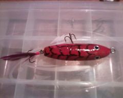 Red Crawdad