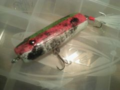 Watermelon trout