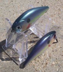 Ameliorate Shad variations