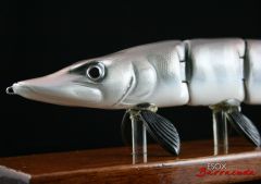 Esox Barracuda