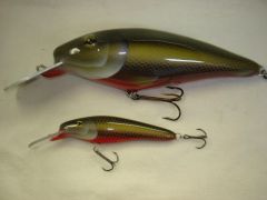 Dace crankbaits