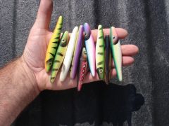 Inline hard body baits