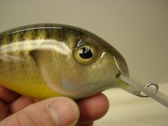 5" Beetle Bluegill