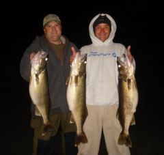 Giant Night Bite Walleyes