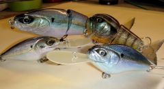 Foiled Baits