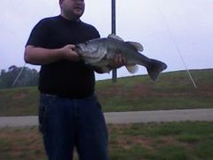 12lb. 10oz. Hollis Lathem Res. lake record