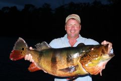 28lb World Record Peacock, caught by Bill G.-