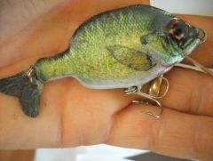 another small bluegill