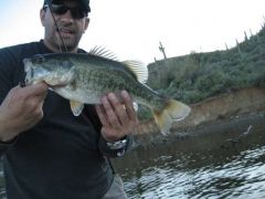 Desert LMB