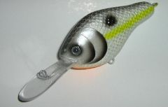 Chartreuse shad!