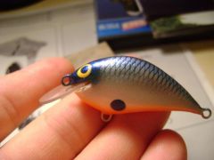 the firs lure for the bass
