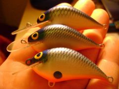 the firs lures for the bass