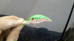 1st Crankbait REpaint.