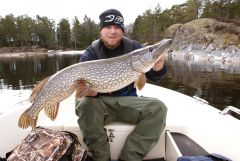 Another nice pike caught 2010