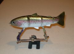 9 inch trout wake bait