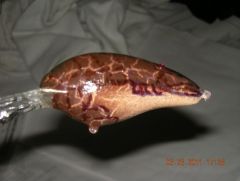 brown crackle craw