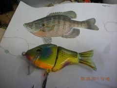 low light/off color water bluegill