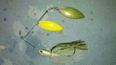 spinnerbait