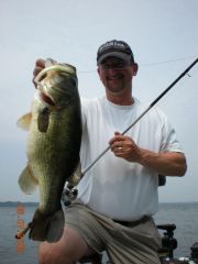 Swimbait Hawg