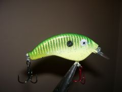 a new crankbait