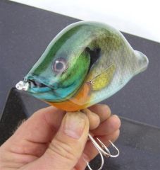 2008 Musky Snax Bluegill paintjob