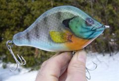 2008 Musky Snax Bluegill paintjob