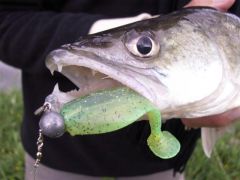 Softbaits Swiss Style!