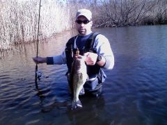 spring spinnerbait