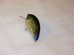 Bluegill balsa