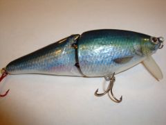 Blueback Herring Swimbait