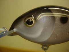 5" Beetle Shad