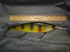 Yellow perch