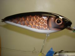 Copper sided 8" shad crankbait
