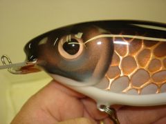 Copper sided 8" shad crankbait
