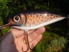 Copper sided 8" shad crankbait