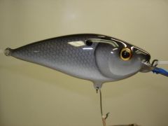 4.5" cedar shad crankbait