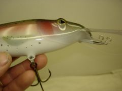 8" trout trolling bait