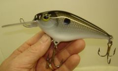 5" Shad Crankbait