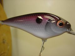 5" shad crankbait