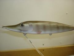 10" baby musky jerkbait