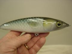 Fantail mullet ....... 7" jerkbait