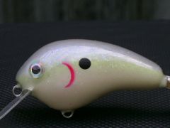 My First Try at Fat Baits