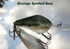 Grumpy Spotted Bass