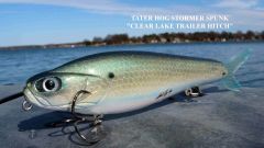 Stormer Spunk. New Topwater design